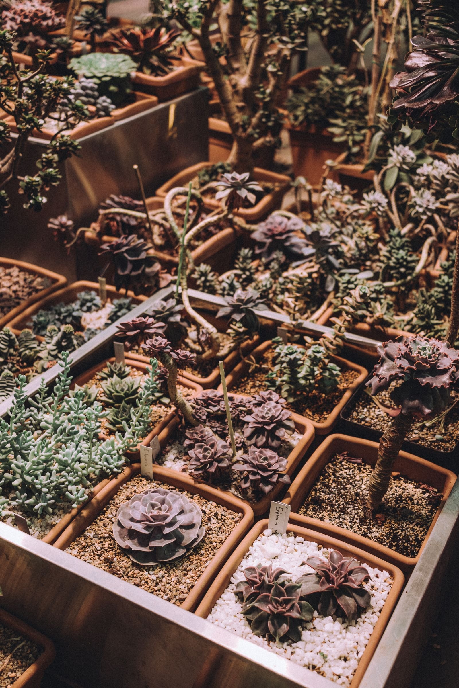 dÉmo – pexels 16033307