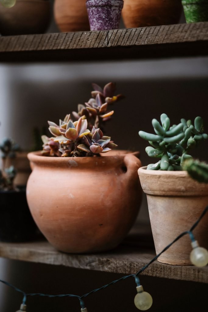 dÉmo – pexels 36058908