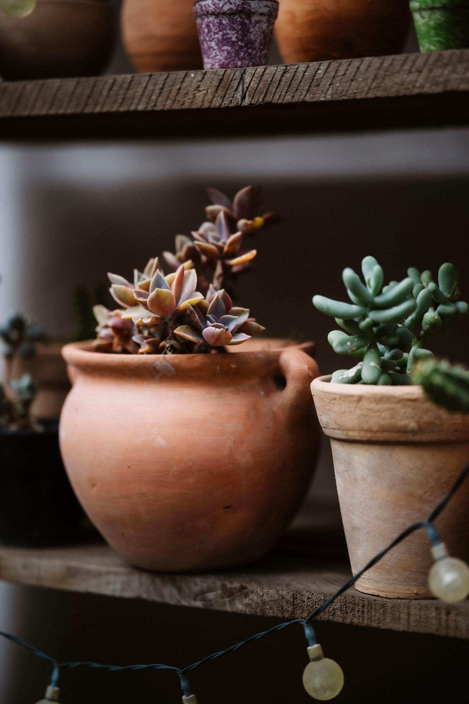 dÉmo – pexels 36058908
